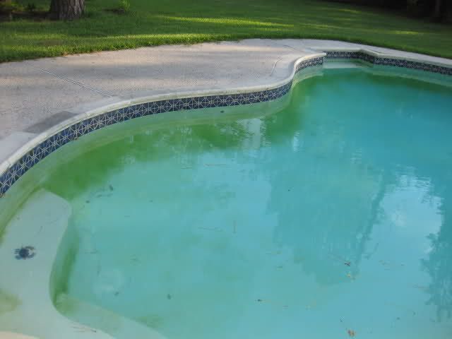 purify green water