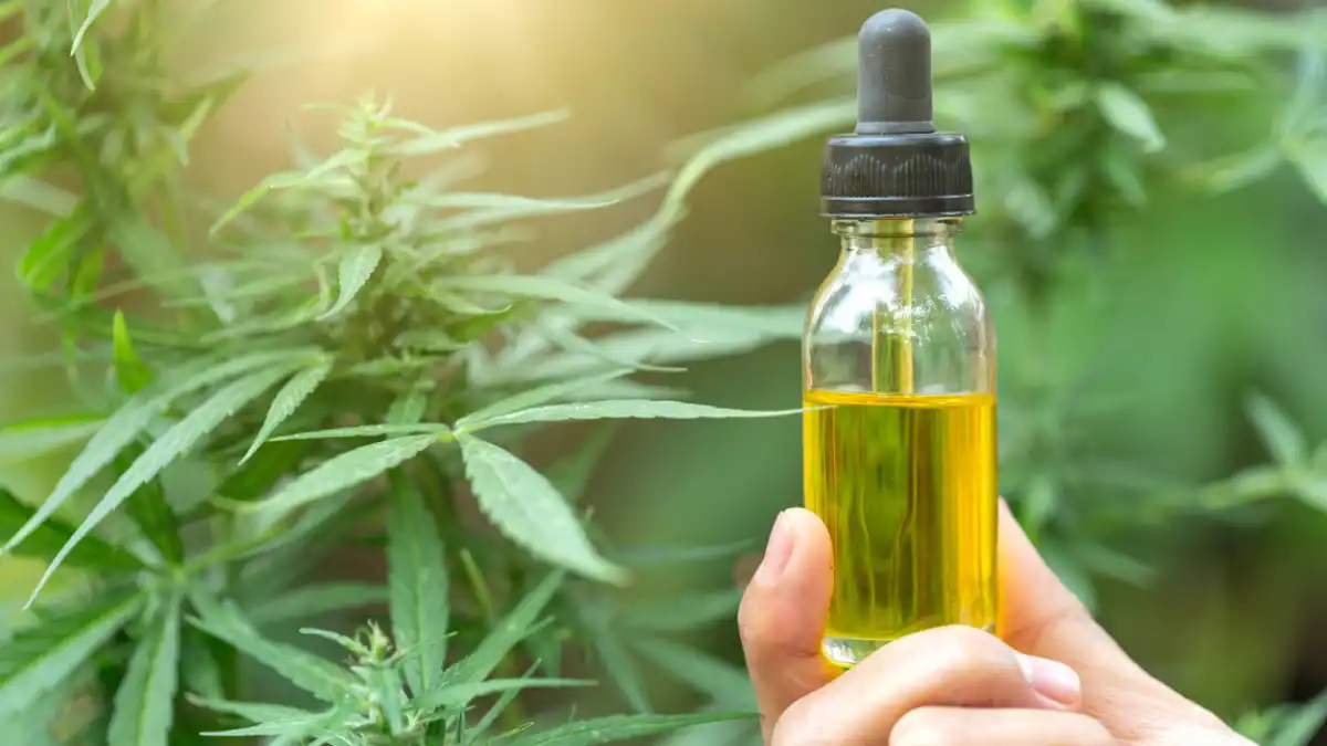 An Overview On drug Test for weed drug Test for weed